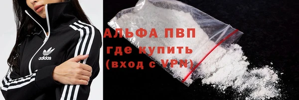 трава Бородино