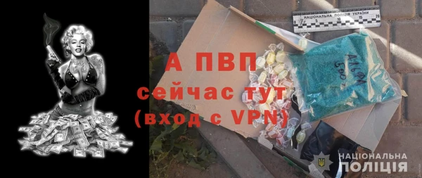трава Бородино